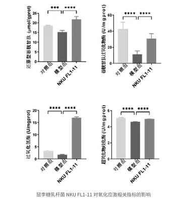 种辅助抗炎、抗氧化、抗衰老的益生菌制剂